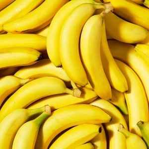 Como plantar banana: 7 passos para você acertar a mão