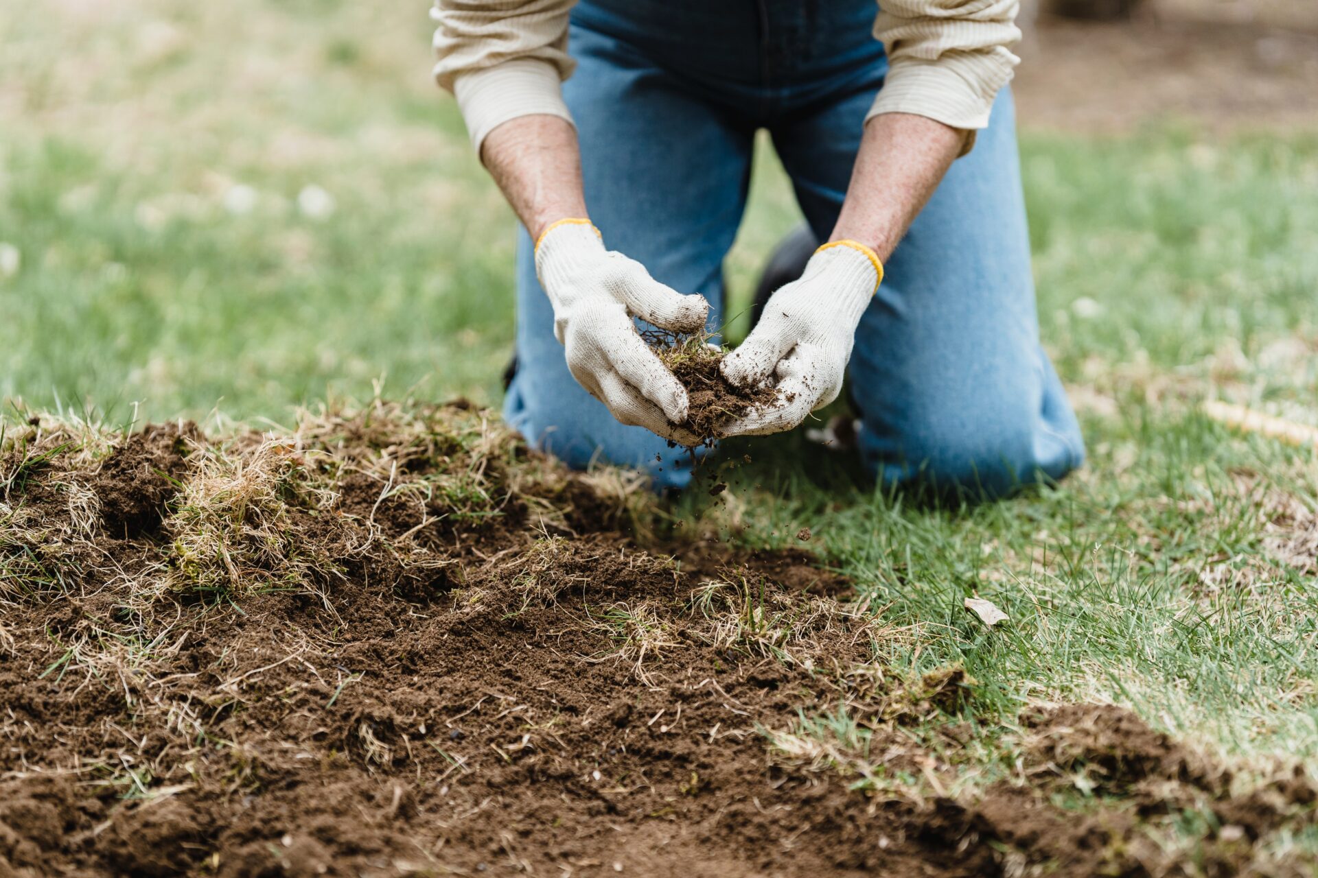 Adubo: saiba tudo para ter plantas saudáveis